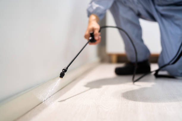 Bed Bug Pre-Treatment Preparation Assessment in Grandview