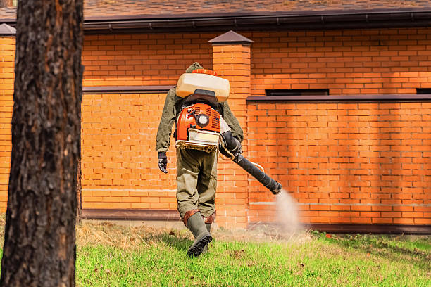 Bed Bug Clearance Verification and Documentation in Grandview